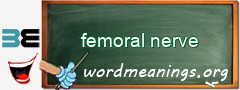 WordMeaning blackboard for femoral nerve